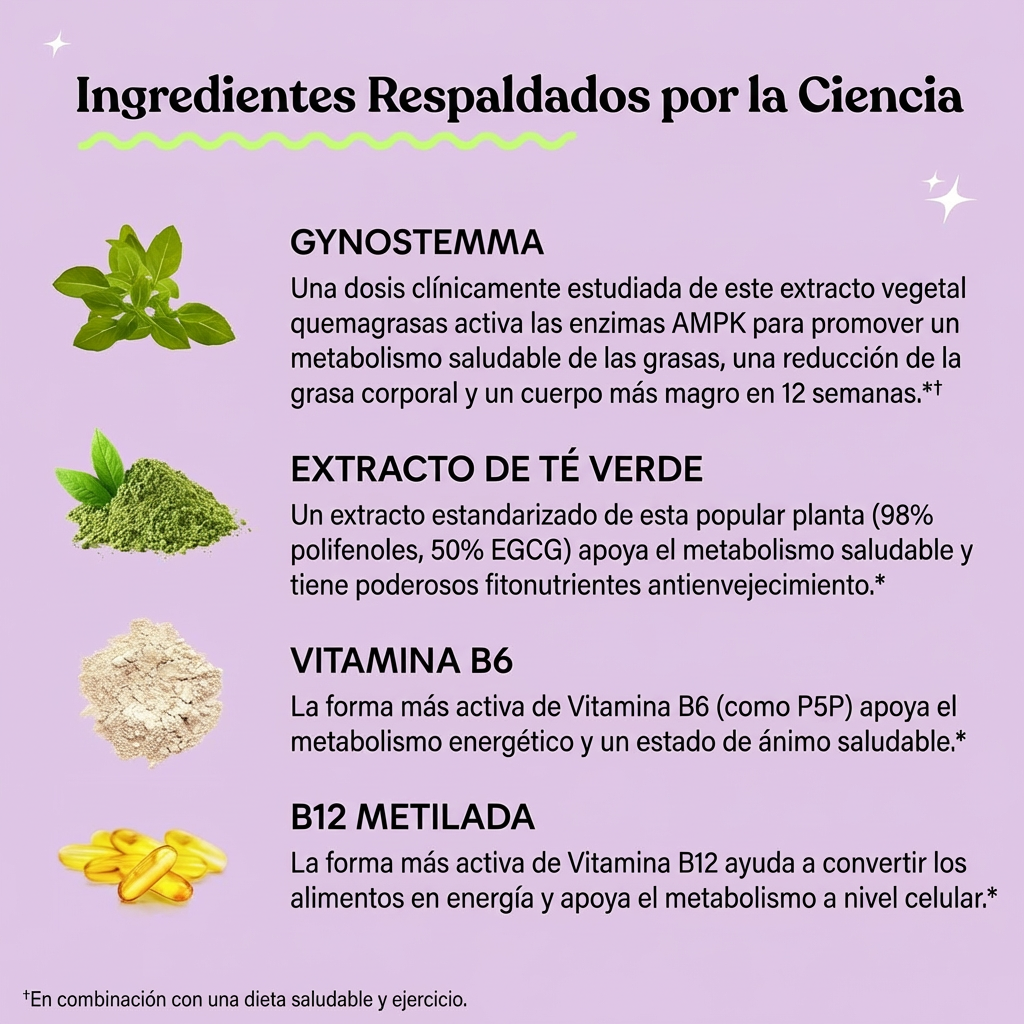 Lemme Burn - Apoyo al Metabolismo y Grasa Abdominal | Promo 1, 2 o 3 Unidades