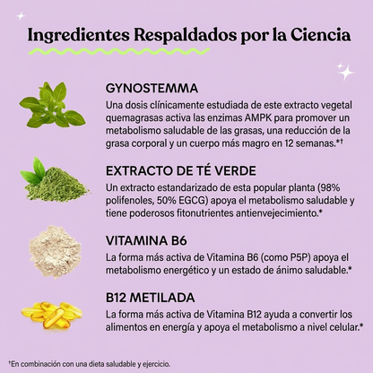 Lemme Burn - Apoyo al Metabolismo y Grasa Abdominal | Promo 1, 2 o 3 Unidades